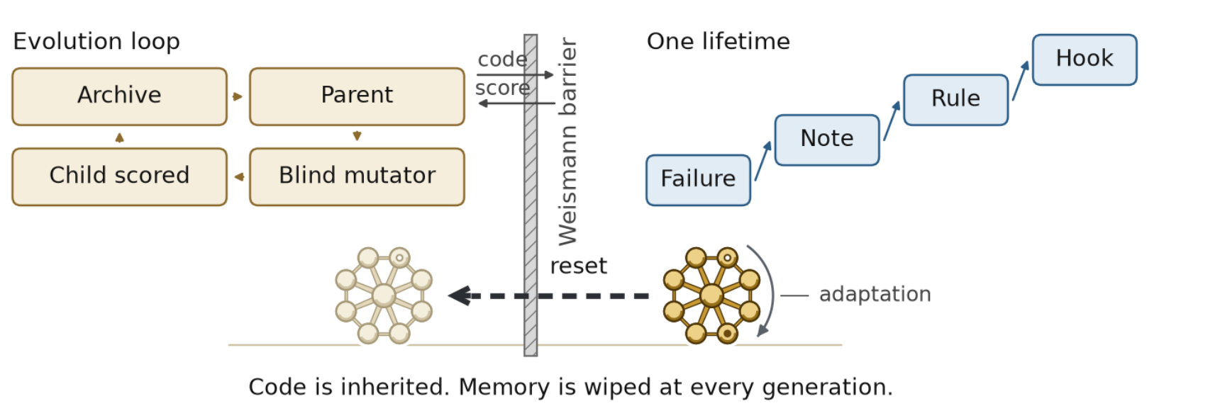 Figure 1 of the paper: an archive picks a parent, a blind mutator writes a child, the child is scored; inside one lifetime a failure climbs from note to rule to hook; code crosses the Weismann barrier into the next generation while memory is reset