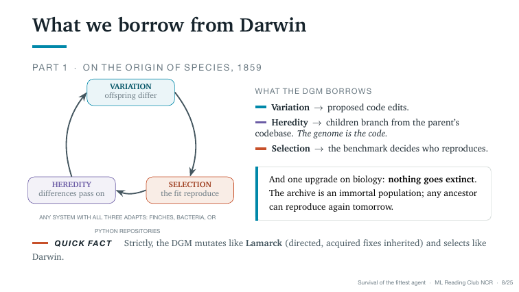 Slide 8